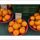 목동깨비시장 이미지