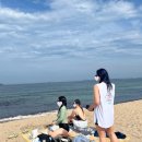 세븐일레븐 부산신송정해변점 | 강원 동해 해수욕장 스노클링 포인트 5곳 :: 추암해변 · 감추해변 · 고불개 해변 · 천곡항 · 한섬해변