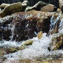 양주시립민복진미술관 화장실 이미지