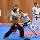 국제고려태권도 이미지