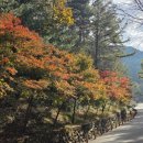 산림휴양마을(목공예체험장) 이미지