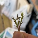 대동농약사 이미지