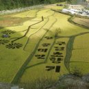 촉촉이네 이미지