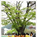 공주교육대학교 이미지