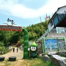 맹종죽테마파크1 네이버블로그