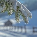 2025년 12월(둘째주) 성장반훈련이 서울주안교회에서 열립니다. 이미지