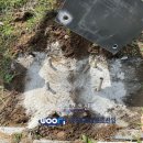 보체초등학교 이미지