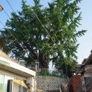 보광 경로당 이미지