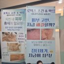 로덱스스킨