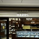 케이크in | 도쿄 디저트 맛집 HARBS 하브스 케이크 후기 in 롯폰기힐즈