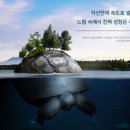 거북이와토끼수학학원