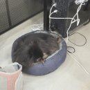 데이지세무회계 | [일상] : 5월의 생일 (부재 : 한참 늦은..)