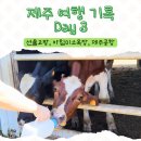 영어조합법인 바다의 아침 | 제주 여행 Day3(북부) - 아침미소목장, 제주공항, 김해공항