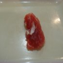 열린참치