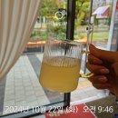 [다이어트 후기 2편] 체지방 7kg 감량한 진짜 비결? 운동이 아니라 ‘이 루틴’”