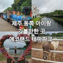 길인목장 | 제주동쪽가볼만한곳 에코랜드 테마파크, 아이랑 기차 타고 떠나는 곶자왈숲 여행