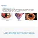 블루웰
