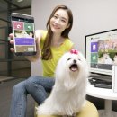 KT하우스