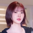 투컨택 TV리포트