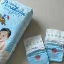 미라클플러스 | 페넬로페 흡수력 좋은 밤잠기저귀 미라클 올데이 사용 후기 (+ 씬씬씬 플러스 비교)
