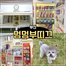 홈플러스 익스프레스 좌동점 앞 | 부산 해운대 애견미용 스파 프리미엄 멍멍부띠끄 후기