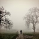 대학로2L 이미지