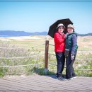 신두리사구&amp; 당진항 여행에서 이미지