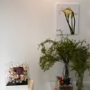 사임당로20길 12 | 서초동 꽃집 후기 스튜디오 페탈레 꽃다발