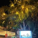 바이드302 이미지