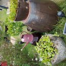 체리농원민박 이미지