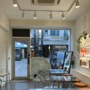 알로하펫 | 동탄 센트럴파크 카페 추천 알로하와 아사이볼과 피넛바나나푸딩