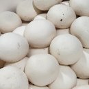 석성농장 이미지