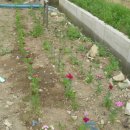 각남우체국 이미지