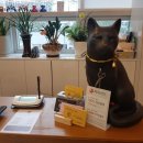 뷰림헤어케어살롱 이미지