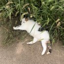 행복을 그리는 한국화 | 26_01 더 많이 웃고, 재미나게 살기🫧