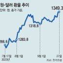 그냥 심심해서요. (24443) 킹달러에 환율 출렁 이미지