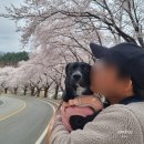 솔향주유소 이미지