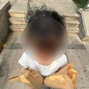 영진세탁소 | 그럼에도 사랑해 그런대로 사랑해