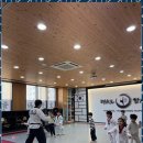 백석 더 혼 태권도 이미지