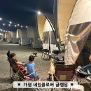 가평 계곡 글램핑장 네잎클로버 얕은물에서 다슬기도 잡았어요