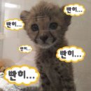 임내 | 내가 친구야!??! 연인이야?!!?! :: 임내일의 기호지세 성사후기..