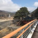 정선매운탕 이미지