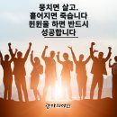 아가페세븐 천연물질연구소
