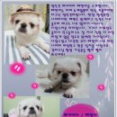 째깐이 이미지