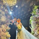 사랑모아결혼정보 이미지