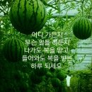잣나무골