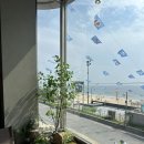 대천해수욕장 만남의 광장 | [카페] 대천해수욕장 오션뷰 감성카페 ”충청도“ 내돈내산 후기 (강추)