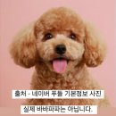 매화로2길 이미지