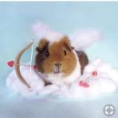 선화세탁소 | 뒤죽박죽 근황