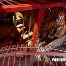 황구건강원 이미지